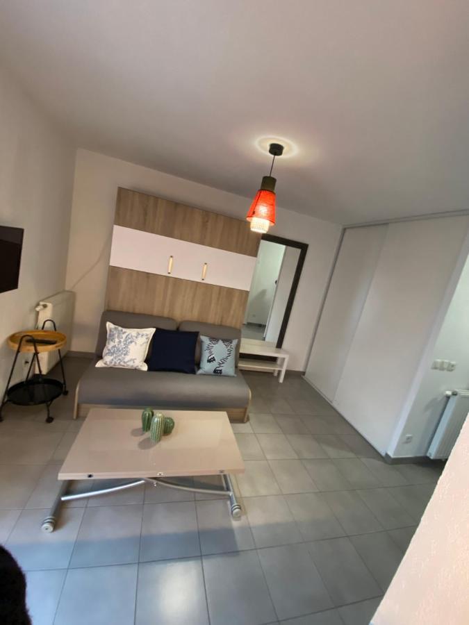 Studio Chic Little Boheme Proche Hopitaux, 15 Mn Du Centre Lyon Exteriör bild